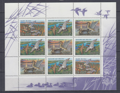 URSS RUSIA 1992 FAUNA SALBATICA RATE SI GASTE BLOC DE 9 TIMBRE MNH foto