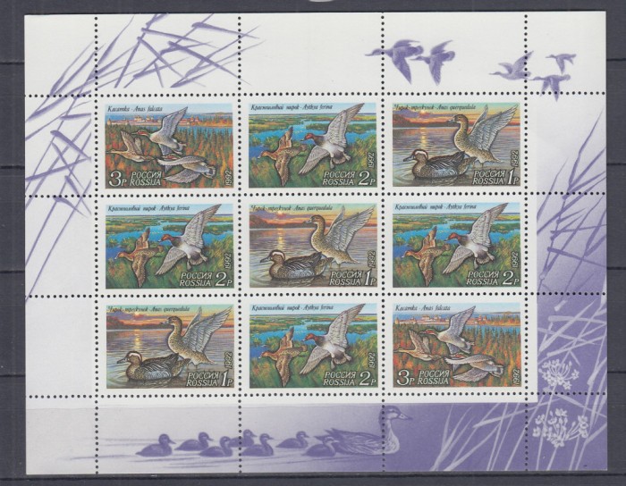 URSS RUSIA 1992 FAUNA SALBATICA RATE SI GASTE BLOC DE 9 TIMBRE MNH