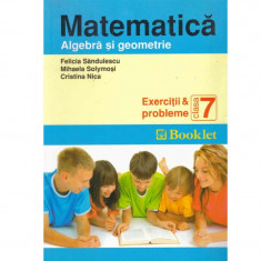 Felicia Sandulescu, Mihaela Solymosi, Cristina Nica - Matematica - algebra si geometrie (exercitii si probleme) clasa a VII-a -