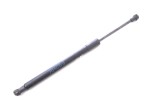 Amortizor haion st&acirc;nga BMW 3 Coupe E92 2009 OEM: 7129194 | 11428951