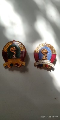 -Y- LOT 2 INSIGNE PENTRU MERITE IN MUNCA MEDICO SANITARA RSR - MODELE DIFERITE foto