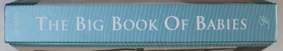 THE BIG BOOK OF BABIES , edited by J. C. SUARES , 2008 foto