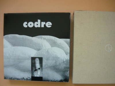 DAN ERCEANU - CODRE SCULPTOR ( album, 2009 ) foto