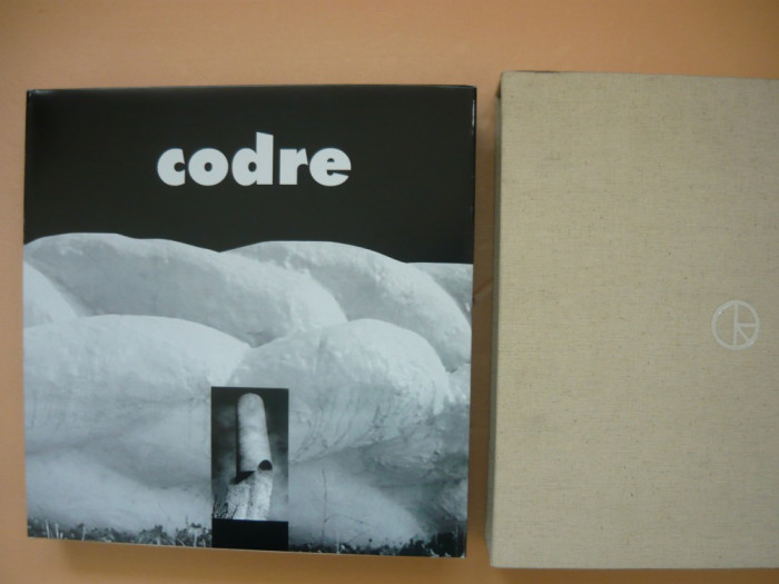 DAN ERCEANU - CODRE SCULPTOR ( album, 2009 )