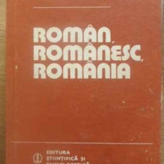 ROMAN, ROMANESC, ROMANIA-VASILE ARVINTE