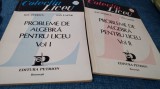 CULEGERE PROBLEME DE ALGEBRA PENTRU LICEU VOL 1+2 ION PETRICA