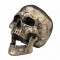 Statueta craniu finisaj bronz Cranius 22 cm