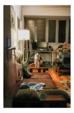 Tablou Canvas, "Motan pe canapea &icirc;ntr-o seară liniștită", Pisică, Canapea, Lumină, Fereastră, Birou, Lampă, Obiecte, Pardoseală, Perne, Blaturi, 26 x