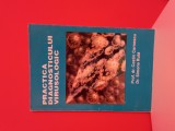 Practica diagnosticului virusologic - Costin Cernescu, Simona Ruta