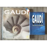 Tout Gaudi + J. Castellar-Gassol - Gaudi: The Life of A Visionary