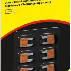 Set sigurante auto mini 5A 6buc Fixpoint 11x8.6mm