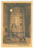 4784 - MURESENI, Mures, The vinegar plant - old postcard - unused, Necirculata, Printata