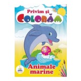Animale marine. Privim si coloram
