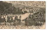 SV * Salutare din ROMANIA ! TRECEREA CRICOVULUI SARAT - 1905 * familie de tarani, costume populare, car tras de boi ...