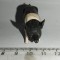 bnk jc Britains Ltd - animale de ferma - porc