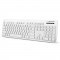 Tastatura waterproof Singapore Esperanza, USB, 103 taste, Alb