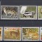 Rwanda 1981 - FAUNA DIVERSA - MNH