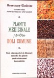 Plante Medicinale Boli Comune - Rosemary Gladstar, Litera, Stare Acceptabila, Romana, 133 pagini