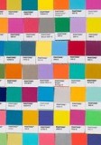 Pantone Chips Journal