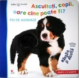 Bebe invata. Ascultati copii oare cine poate fi? Pui de animale - Litera