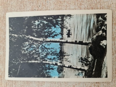 București - Lacul Herăstrău. foto