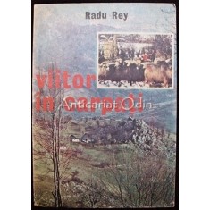 Viitor In Carpati. Progres Economic, Civilizatie, Socialism - Radu Rey