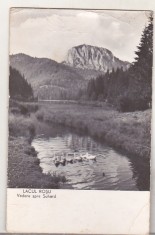 bnk cp Lacul Rosu - Vedere spre Suhard - circulata