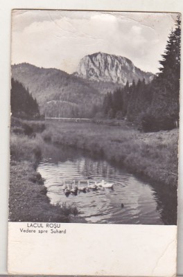 bnk cp Lacul Rosu - Vedere spre Suhard - circulata foto