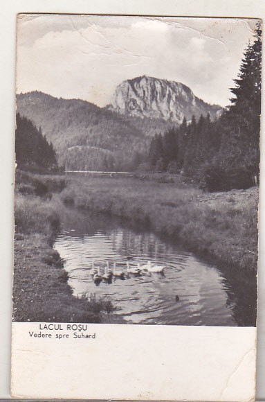 bnk cp Lacul Rosu - Vedere spre Suhard - circulata