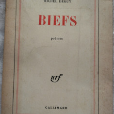 MICHEL DEGUY - BIEFS (POEMES) [editia princeps, 1964] [LIMBA FRANCEZA]