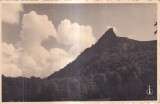 Salutari Din Maramures. Varful Gutin (1937, necirculata)