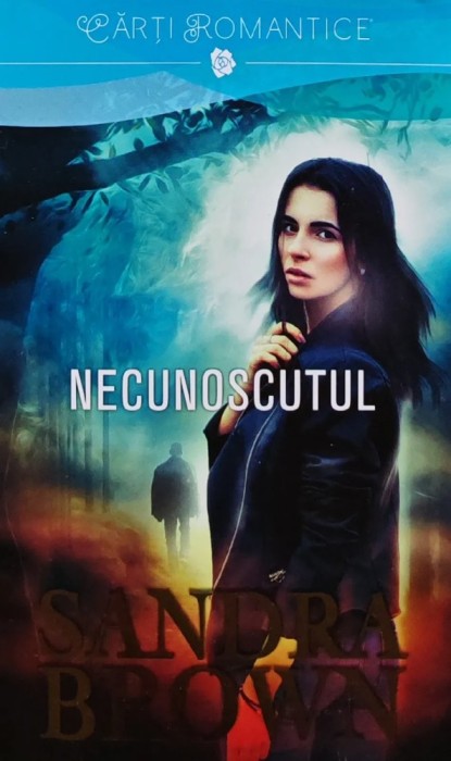 Necunoscutul - 2015 - Sandra Brown (AZ10)