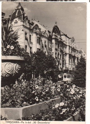 CPIB 22085 - CARTE POSTALA - TIMISOARA. PE Bdul &amp;quot;30 DECEMBRIE&amp;quot;, RPR foto