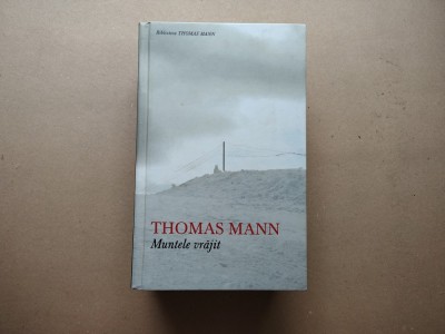 Muntele vrajit -Thomas Mann foto