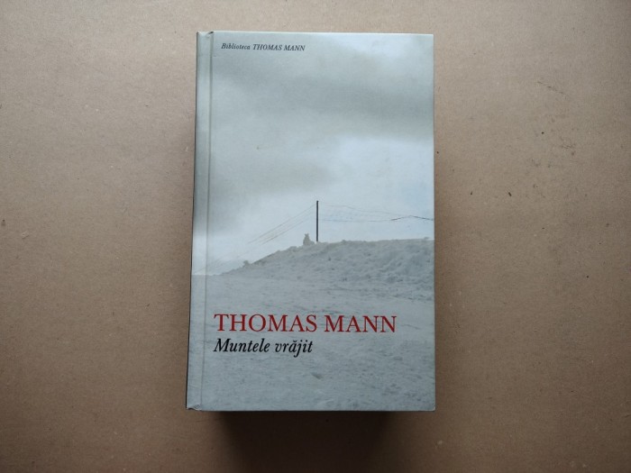 Muntele vrajit -Thomas Mann