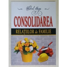 CONSOLIDAREA RELATIILOR DE FAMILIE de VIOREL IUGA , 2012