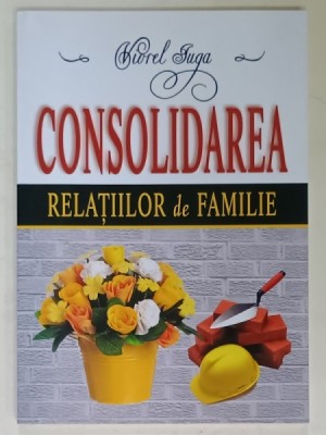 CONSOLIDAREA RELATIILOR DE FAMILIE de VIOREL IUGA , 2012 foto