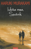 Iubita mea, Sputnik - Haruki Murakami