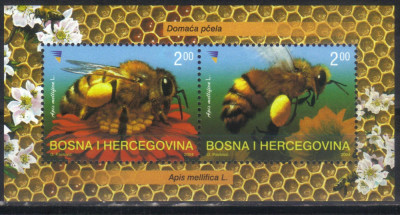 BOSNIA HERTEGOVINA 2004, Fauna - Albine, serie neuzata, MNH foto