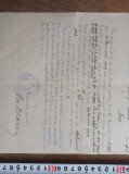 Cumpara ieftin CERNAUTI, 1929- DOCUMENT REVIZOR SCOLAR