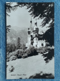 317 - Sinaia - Muzeul Peles / RPR / carte postala necirculata, Fotografie