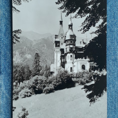 317 - Sinaia - Muzeul Peles / RPR / carte postala necirculata