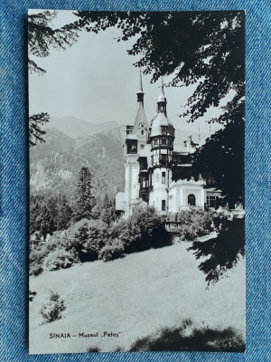317 - Sinaia - Muzeul Peles / RPR / carte postala necirculata foto