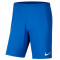 Pantaloni scurti Nike Park III Shorts BV6855-463 albastru marin