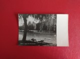 CARTE POSTALA - RPR - SIBIU - LACUL DIN DUMBRAVA