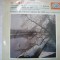 Mozart-vinil supraphone