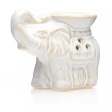 Cumpara ieftin Vas aromaterapie Ceramica - AR10 Alb