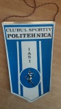 M3 C7 - Tematica cluburi sportive - Clubul sportiv Politehnica Iasi