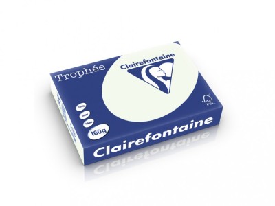 Carton A4 160 g/mp color pal 250 file/top Clairefontaine foto