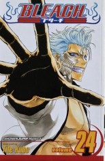 Bleach, vol. 24 - Tite Kubo